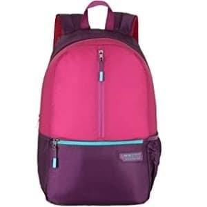 Huge Sale: Lavie Backpacks and bags at 70% Discount – Don’t Miss Out!